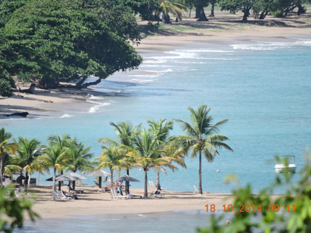 Amazing Beach View Apartments Castries Eksteriør bilde
